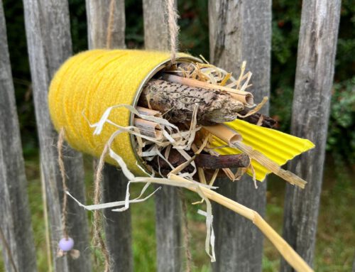 Neue Insektenhotels von Jahrgang 2